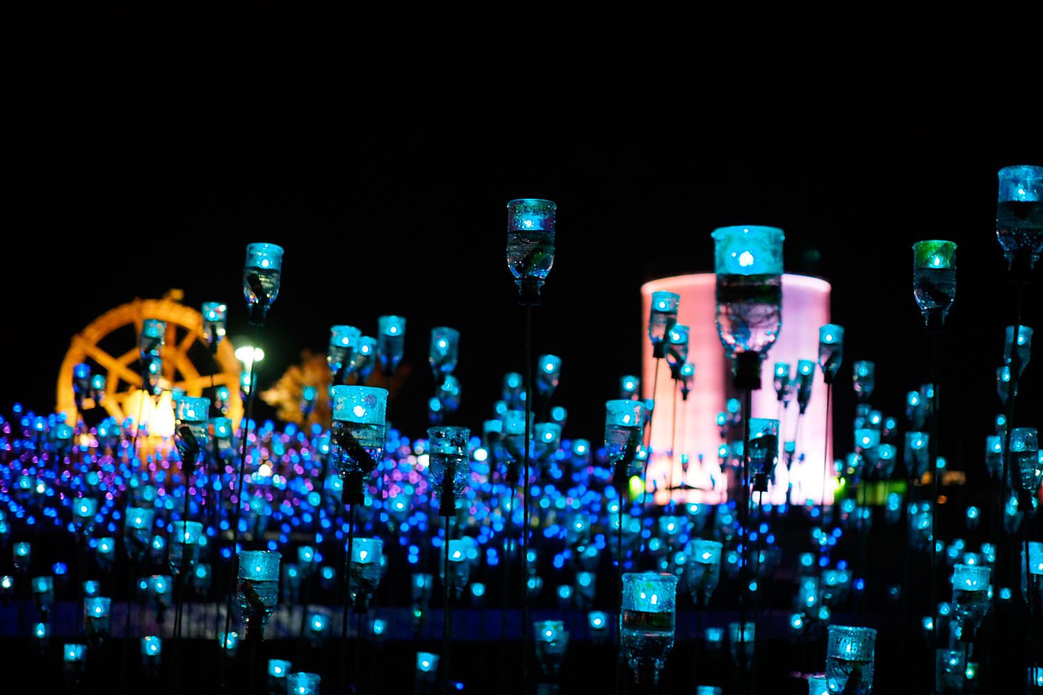 🌸 백합 마을 공원 유림 하루에 이미지 3